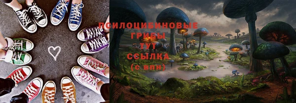 мет Белокуриха